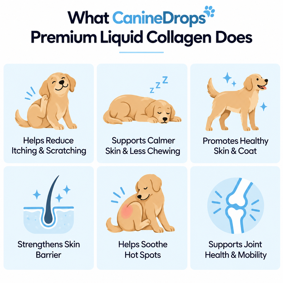 Collagène liquide premium