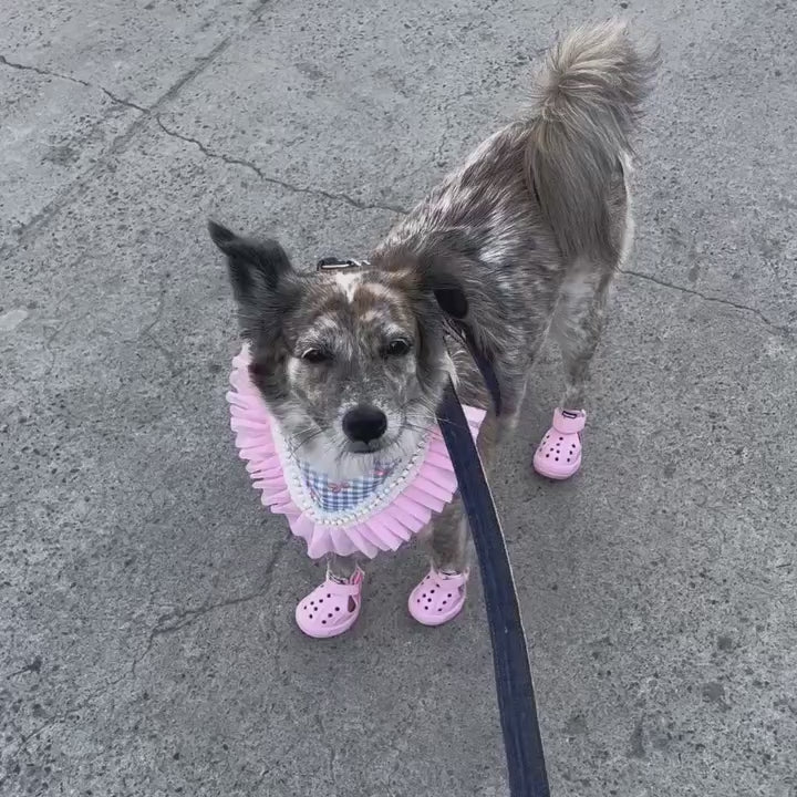 Chloé